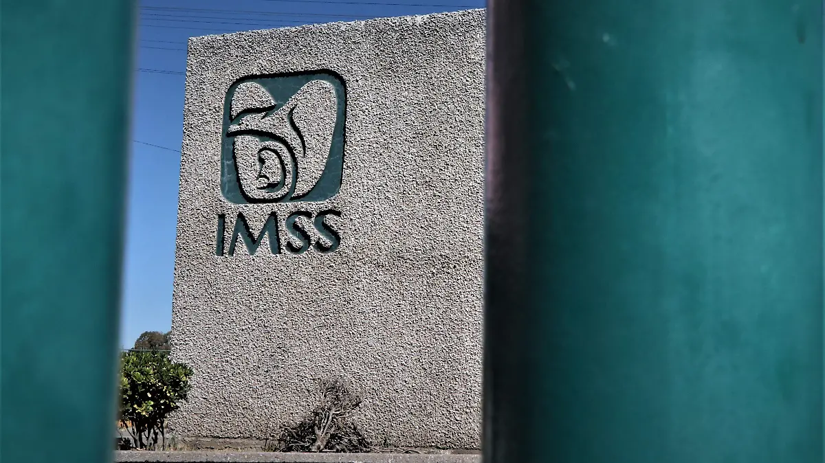 IMSS (7)